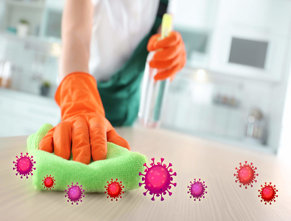 HACCP prerequisite programs sanitation