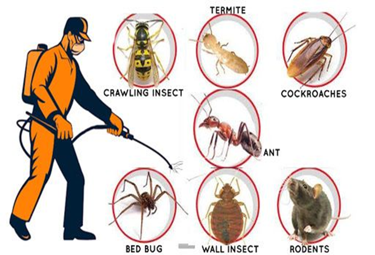 HACCP prerequisite programs pest management