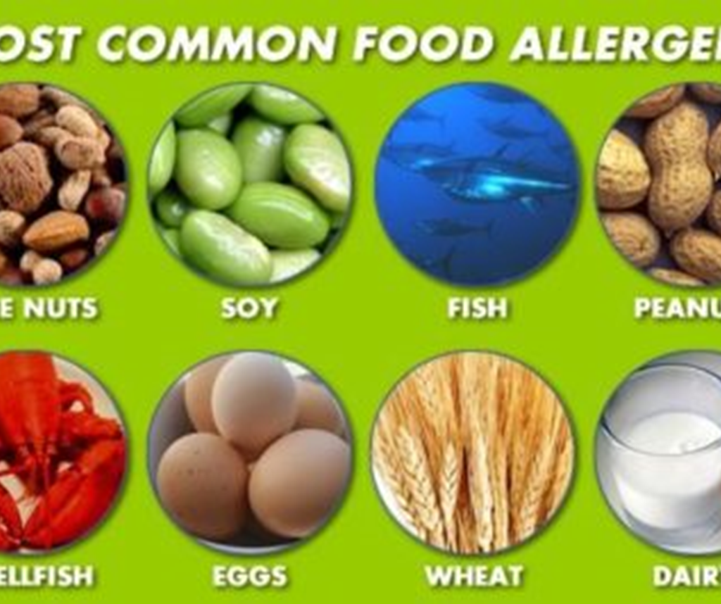 HACCP prerequisite program allergen management